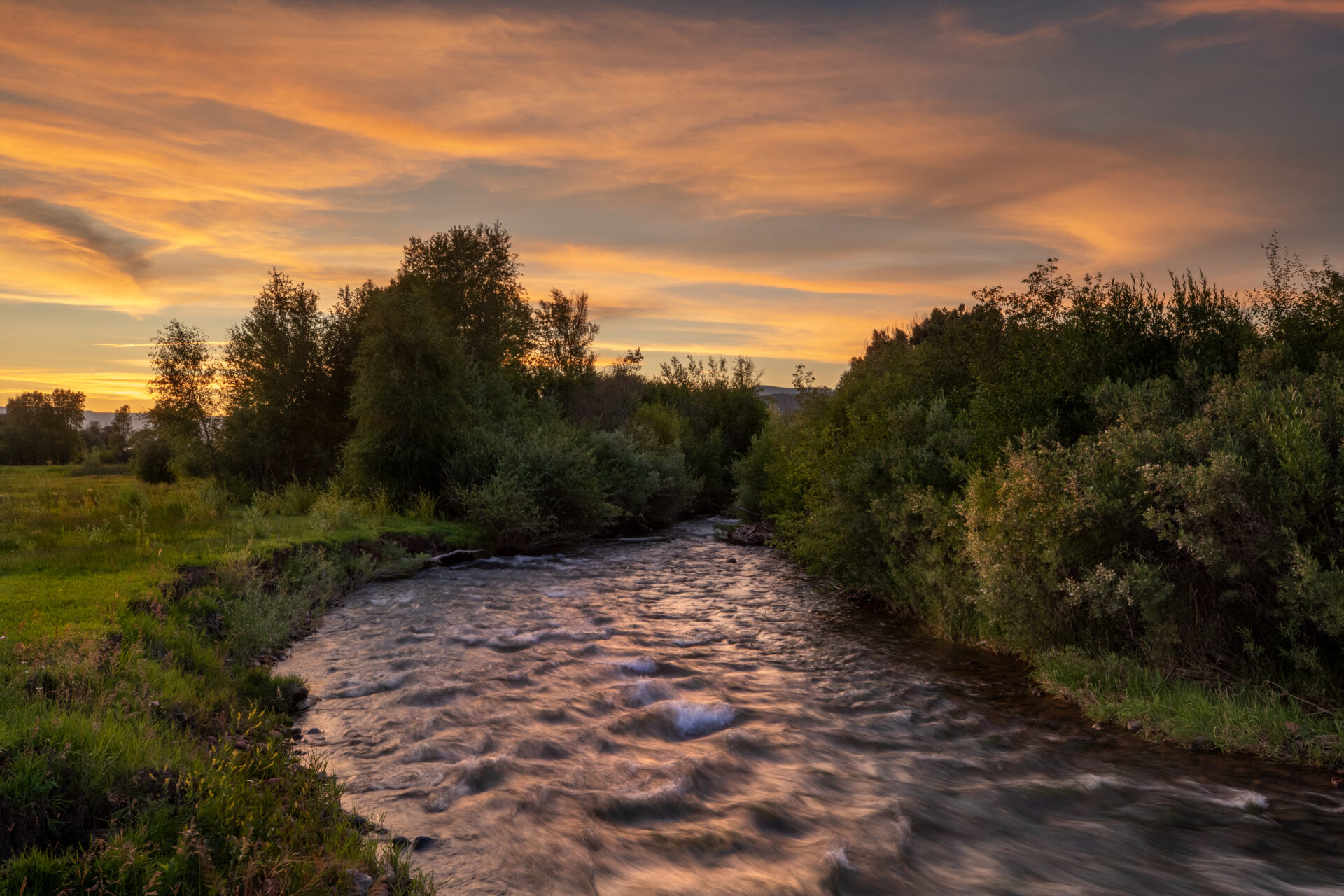 Photo by Eagle Valley Wild. Eagle County rivers and streams