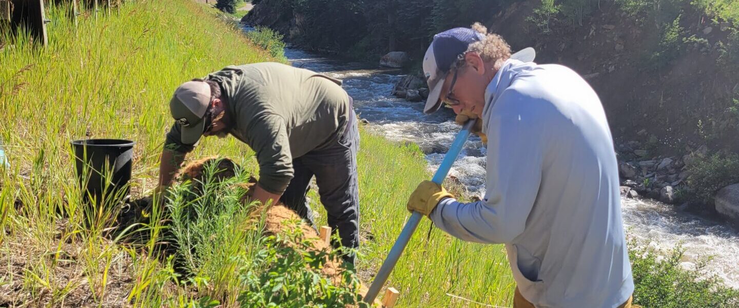 Two people plant bushy native plants along a steep bank above a rushing creek, under a blue sky.