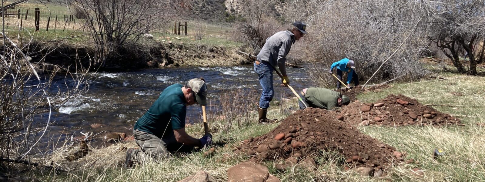 Three people dig holes for cottonwood poles to be planted along a creek under a blue Colorado sky.