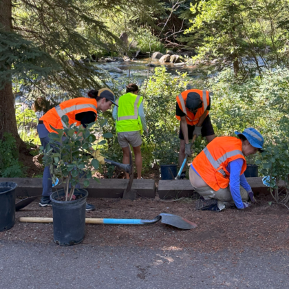 Planning & Design; Riverwalk Restoration Project