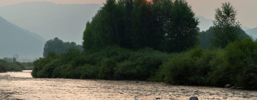 blog-banner-image