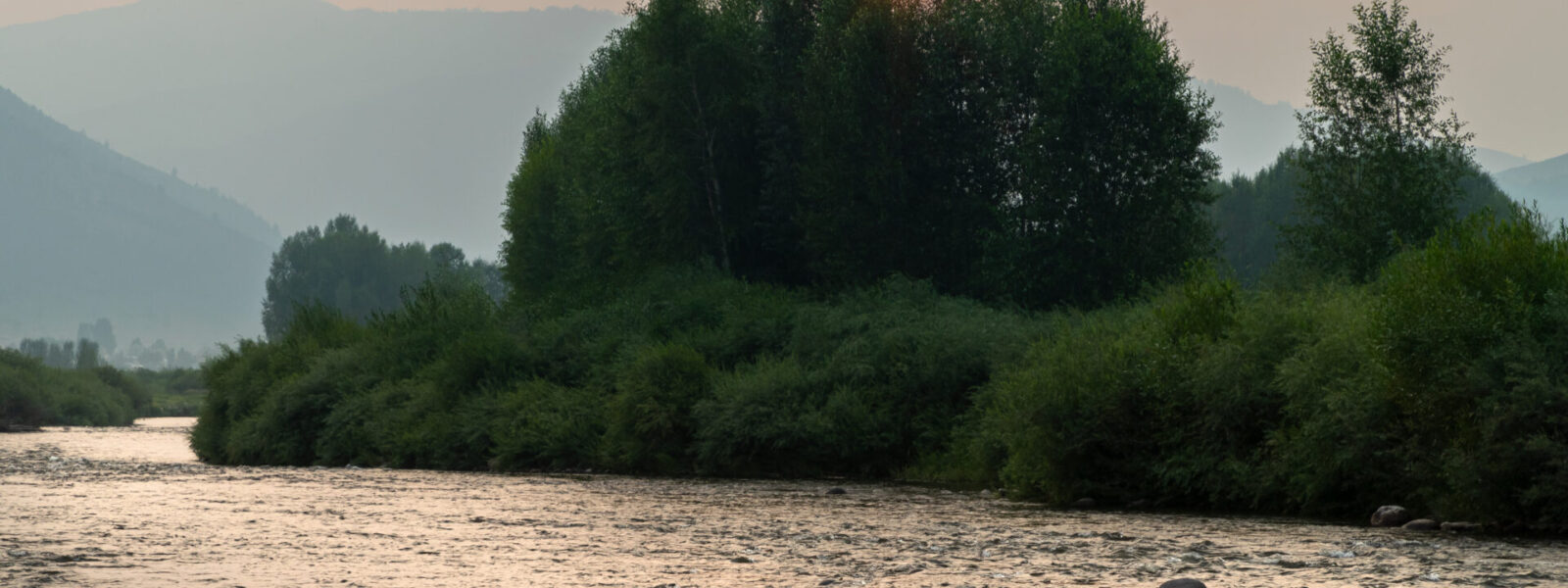blog-banner-image