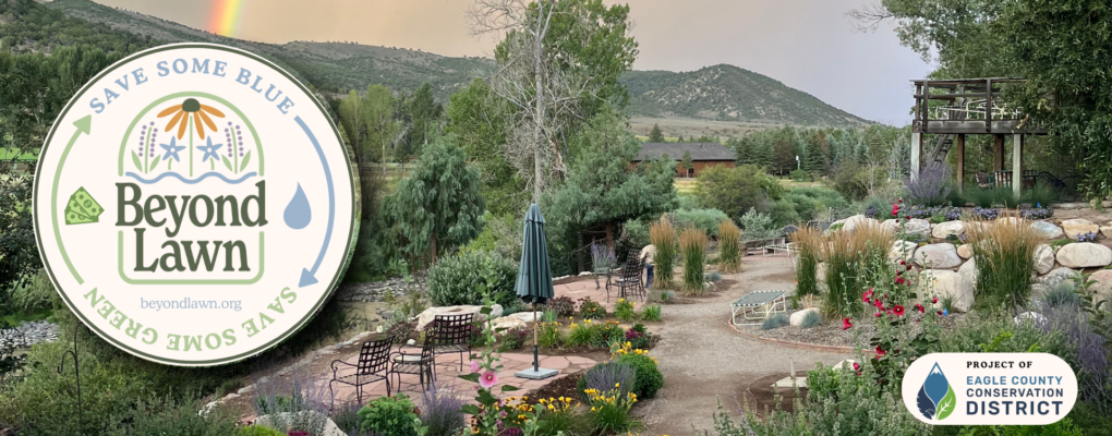 blog-banner-image test