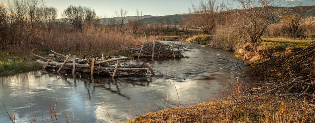 blog-banner-image test