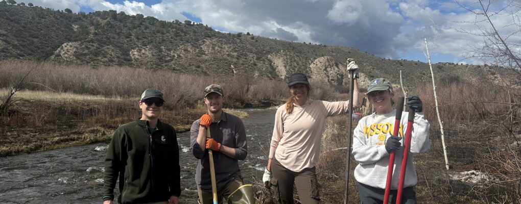 blog-banner-image test